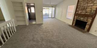 Live in the Timbers Gallery 4