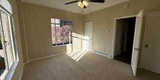 Bellevue Towers Gallery 7