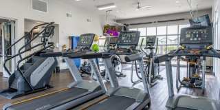 Ironwood at Happy Valley Gallery 6