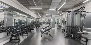 75 Tresser Gallery 19