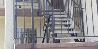 Hidden Gem! Gallery 1