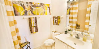 Clearwater Creek Gallery 6