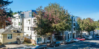 NoCo Flats NoCo Flats Gallery 19