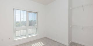 Polaris at SeaTac Gallery 56