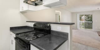 Village Fair Gallery 16