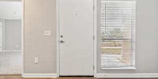 Buena Vista Gallery 38