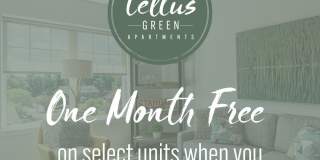 Tellus Green Tellus Green Gallery 16