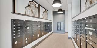 3698 vision cmn Gallery 14