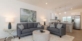 Arboretum Village Gallery 40