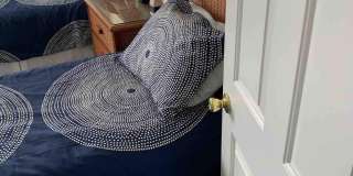 711 Mount Place Gallery 11