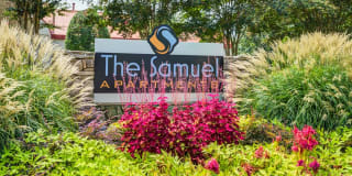 The Samuel Gallery 19