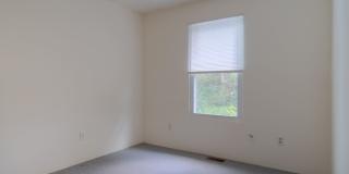 4 bedroom / 2 1/2 Bath. Undergrad Welcome. Off Street Parking, Bus Route Gallery 13
