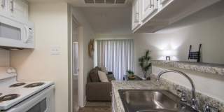 Canyon Creek Gallery 5