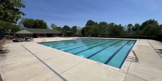 2036 Turtle Point Drive Gallery 24