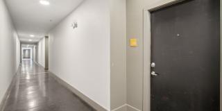 COLE COLE Gallery 16