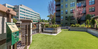 North at Totem Lake Apartments Gallery 25