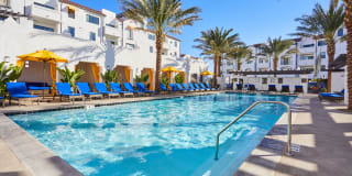 Paseos at Ontario Gallery 1