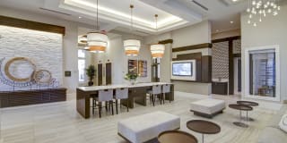 Sofia Coral Gables Gallery 10