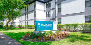 Halcyon Gallery 16