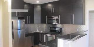 Huge, updated, sunny 5 bed in Coolidge Corner for 9/1! Gallery 24