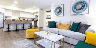 Paloma Gallery 3