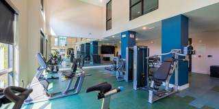 Tropia Wellen Park Gallery 33