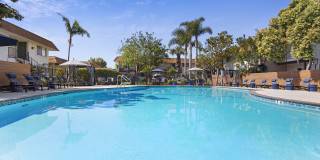 Terra Camarillo Gallery 1