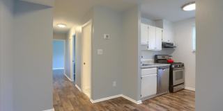 4411 FALLS BRIDGE Drive Gallery 19
