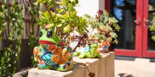 219 Equestrian Avenue Gallery 24