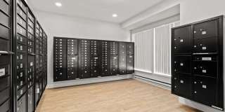 Avana Chestnut Hill Gallery 34