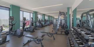 The Carson Gallery 42