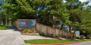 Finn Gallery 36