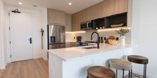 The Mitchell Gallery 3