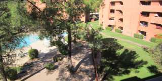 12212 N PARADISE VILLAGE Parkway Gallery 19