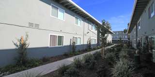 The Canopy Gallery 33