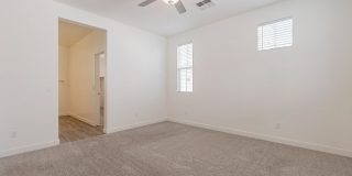 5538 S Dillon Gallery 16