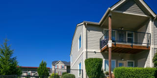 Timberhill Meadows Gallery 8