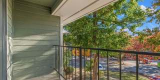 Autumn Ridge Gallery 24