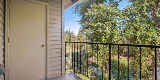 Miramonte Lodge Gallery 24