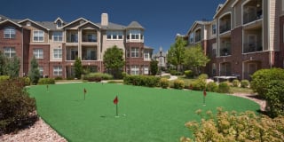 Lowry Park Gallery 17