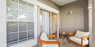 Perse Apartments Gallery 16