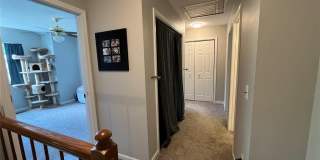 111 Knob Creek Lane Gallery 27