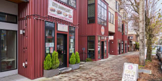 Springline Gallery 40