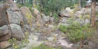 For Rent - Conifer 3+ bedroom, 2.75 bath home w/2 car att. garage on 1.7 acres. Gallery 1