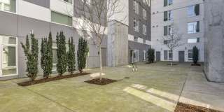 Koz at the Dome Gallery 6