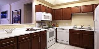 The Biltmore Gallery 18