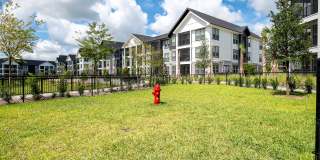 Alta Citron Gallery 85