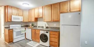 Autumn View Gallery 4