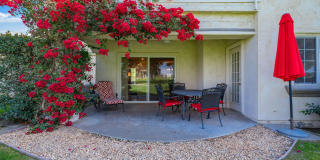207 Desert Falls Circle Gallery 2