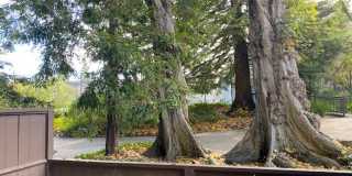 2159 Shelter Creek Lane Gallery 8